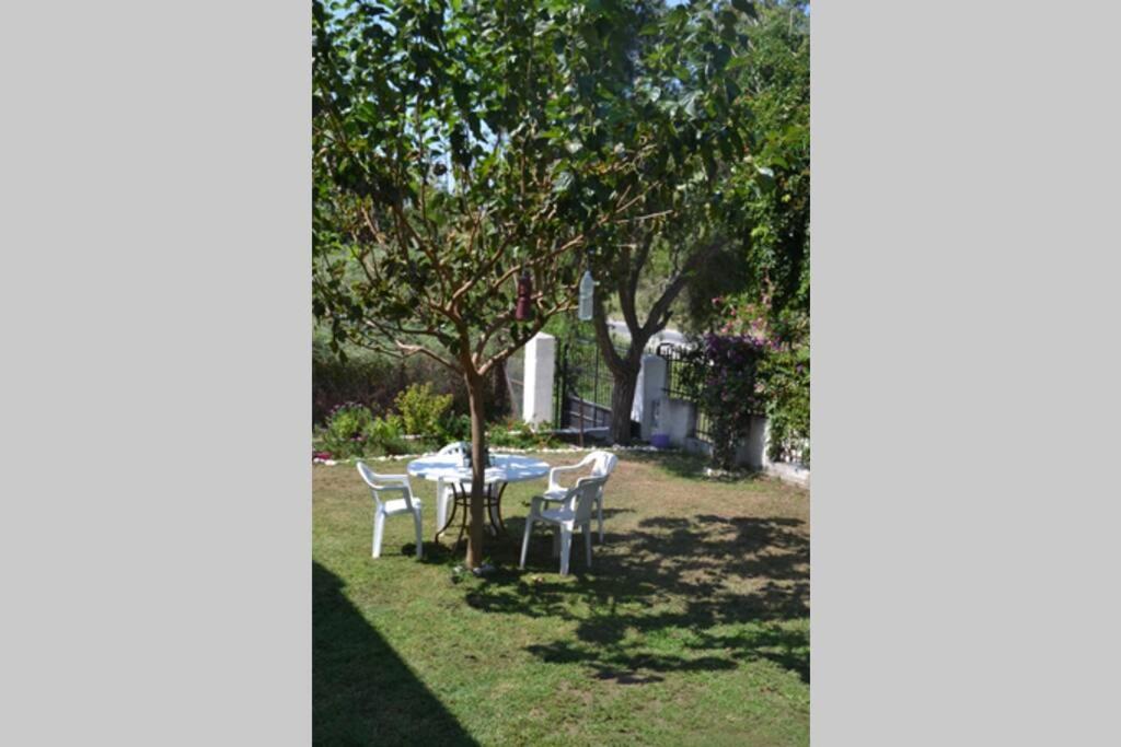 Beach House Into The Green! Preveza Eksteriør bilde