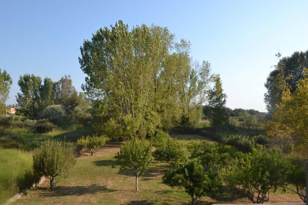 Beach House Into The Green! Preveza Eksteriør bilde