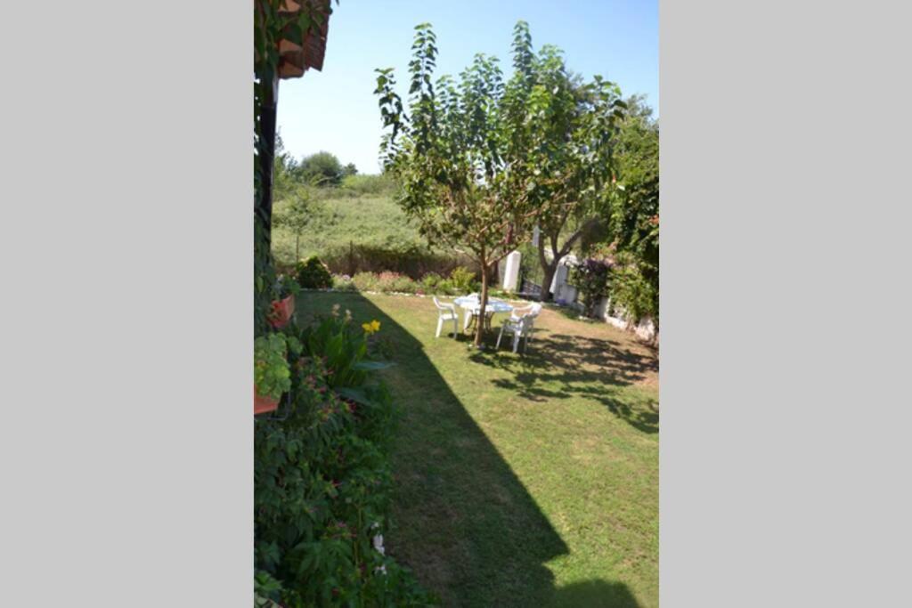 Beach House Into The Green! Preveza Eksteriør bilde