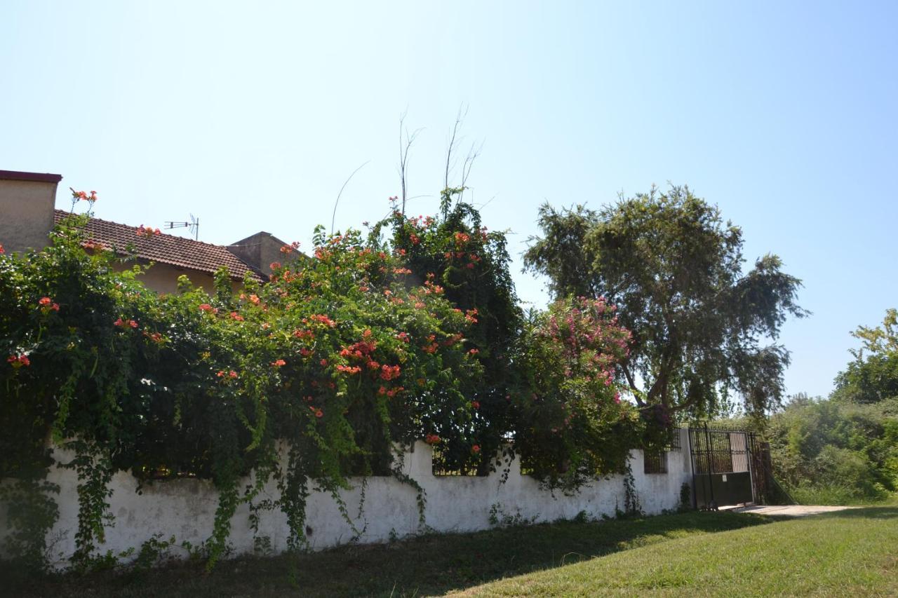 Beach House Into The Green! Preveza Eksteriør bilde