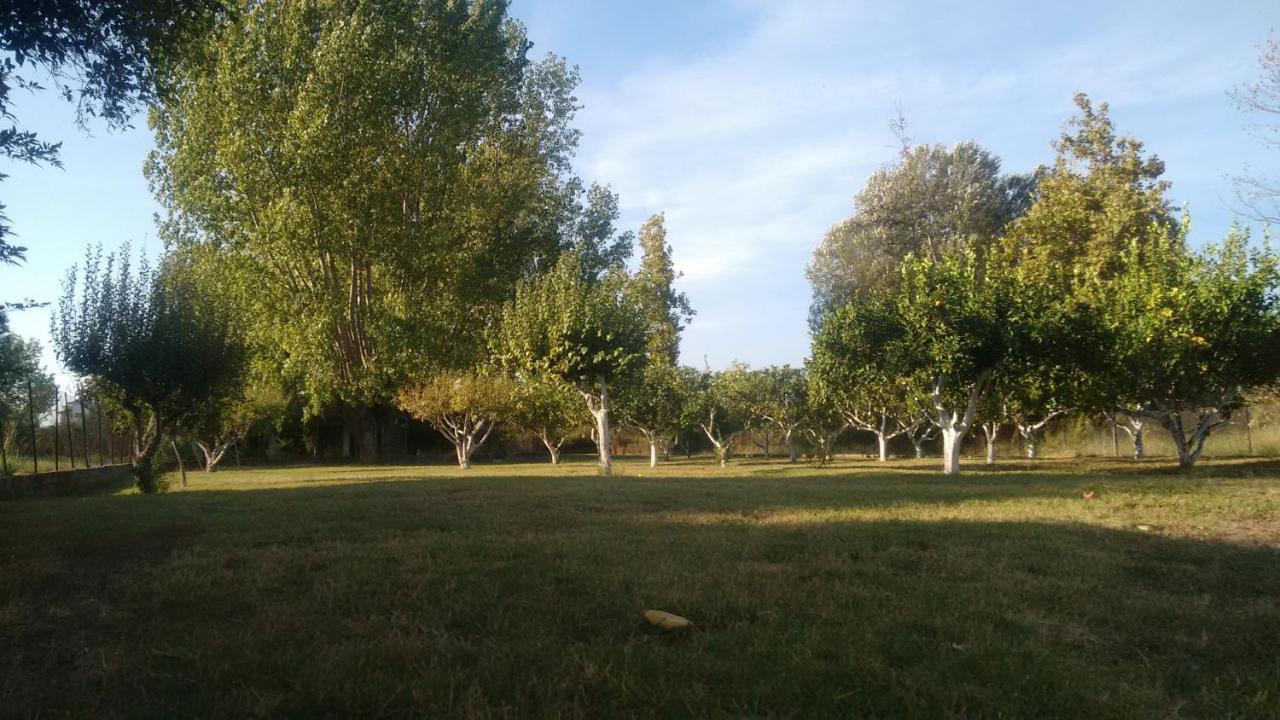 Beach House Into The Green! Preveza Eksteriør bilde