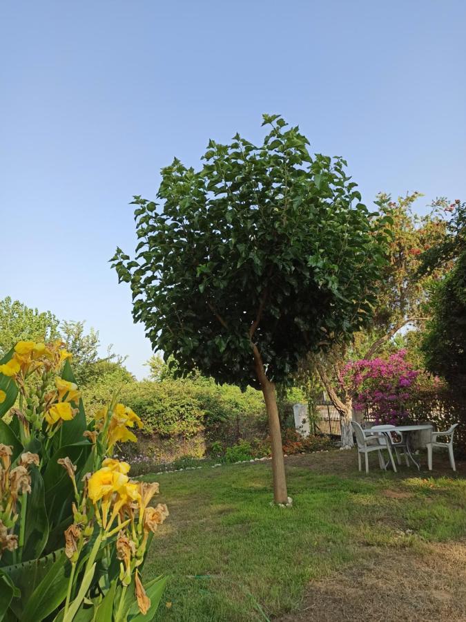 Beach House Into The Green! Preveza Eksteriør bilde